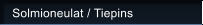 Solmioneulat / Tiepins