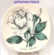 ARABIA,Sein�lautanen "Rosa Elida" ,Design:Esteri Tomula,Valmistettu 1983-luku,Korkeus n. 12 cm, leveys n. 12 cm,1 kpl,53� /kpl ( Tuote nro / Item #101E )