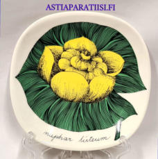 ARABIA,Sein�lautanen " Ulpukka " Nuphar Luteum,Design:Esteri Tomula,Valmistettu 1978-79-luku,Korkeus n. 12 cm, leveys n. 12 cm,1 kpl,68� /kpl ( Tuote nro / Item #109E )