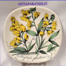 ARABIA,Sein�lautanen Harvinainen " Niittyn�tkelm� " lathyrus pratensis, Botanica,Design:Esteri Tomula,Valmistettu 1986-87-luku,Korkeus n. 12 cm, leveys n. 12 cm,1 kpl,118 � /kpl ( Tuote nro / Item #128E )