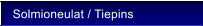 Solmioneulat / Tiepins