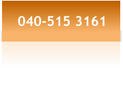 040-515 3161