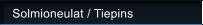Solmioneulat / Tiepins