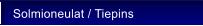 Solmioneulat / Tiepins
