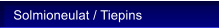 Solmioneulat / Tiepins