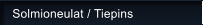 Solmioneulat / Tiepins