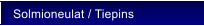 Solmioneulat / Tiepins