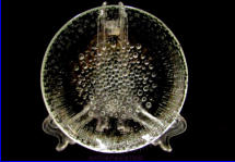 IITTALA, Ultima Thule lautanen, Design:Tapio Wirkkala,n.15 cm,1kpl,15�/kpl