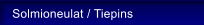 Solmioneulat / Tiepins