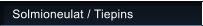 Solmioneulat / Tiepins