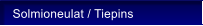 Solmioneulat / Tiepins