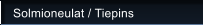 Solmioneulat / Tiepins