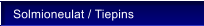 Solmioneulat / Tiepins