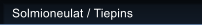 Solmioneulat / Tiepins