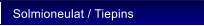 Solmioneulat / Tiepins